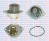 AQUAPLUS 85-3125 Water Pump